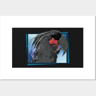 Black cockatoo Posters and Art